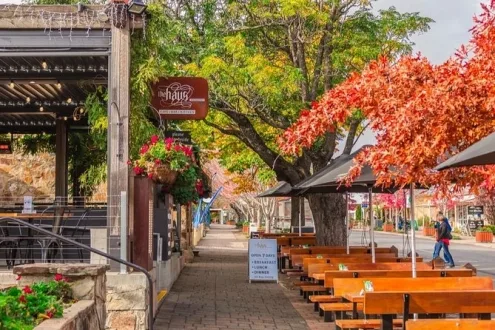 Barossa Valley Wine Tasting