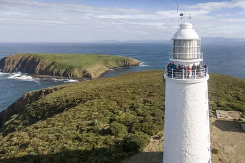 Bruny Island Food, Sightseeing and Lighthouse Tour