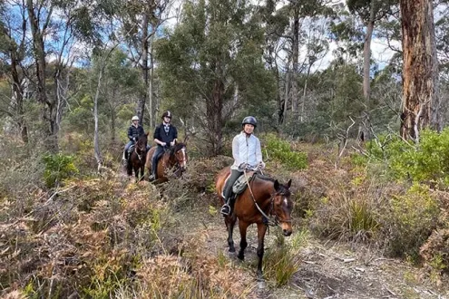 Guided Horse Ride