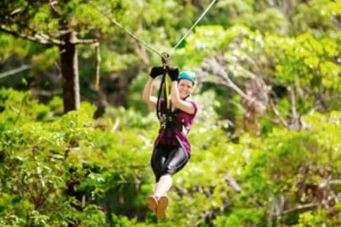 Canyon Flyer Guided Zipline Tour