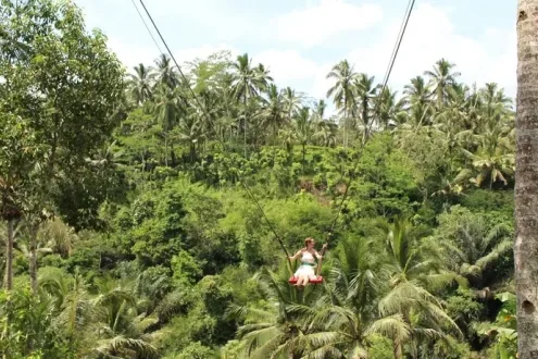 Central Bali Full Day Tour