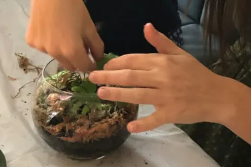 DIY Terrarium Craft Box/Kit