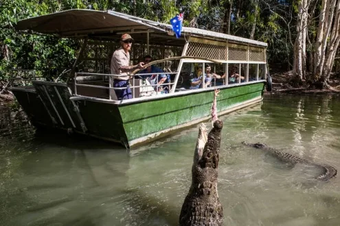 Our top pick: Crocodile Adventure and Wildlife Tour - Half Day