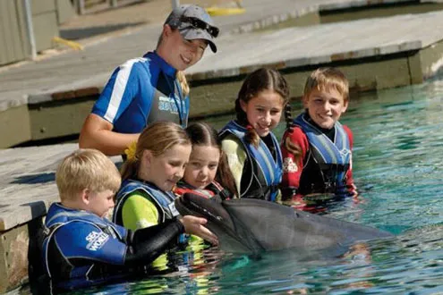 Sea World Dolphin Adventure