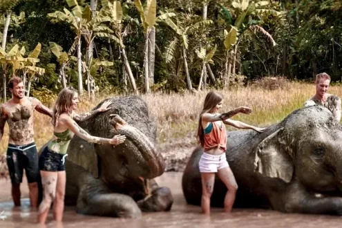 Elephant Mud Fun Experience at Bali Zoo