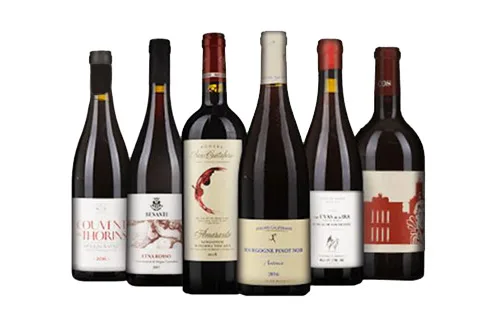 Langton's Explore European Reds 6-pack