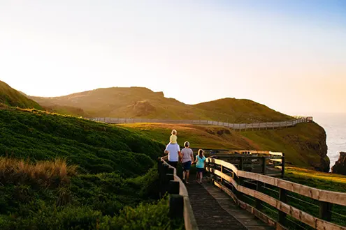 French Island and Phillip Island Sightseeing and Wildlife Tour