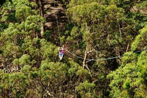 Extreme Zipline Guided Tour