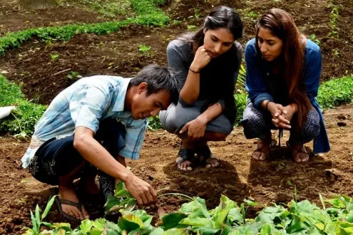 Balinese Farm Cooking Class with Organic Farm Tour by Pemulan Bali