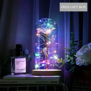 Galaxy Enchanted Rose Dome