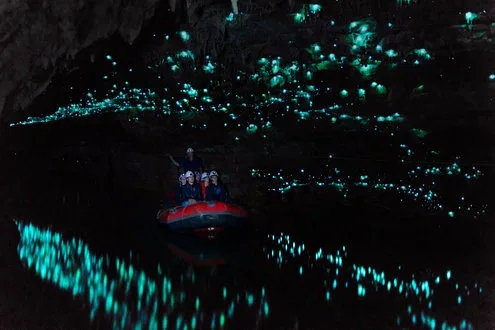 Waitomo Glowworm Caves and Hobbiton Day Tour from Auckland