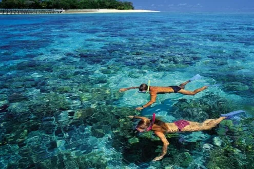 Our top pick: Green Island Reef Explorer Cruise with Lunch - Adult