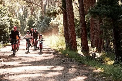Mornington Peninsula Guided e-bike Tour