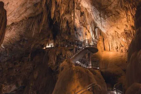 Hastings Caves, Thermal Springs + Airwalk Tour