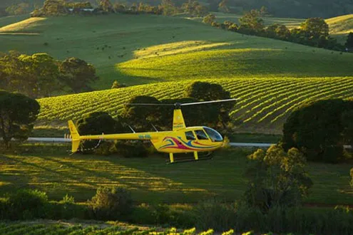 Barossa Valley Lunch
