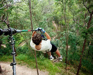 Flying Fox High Ropes Adventure Park
