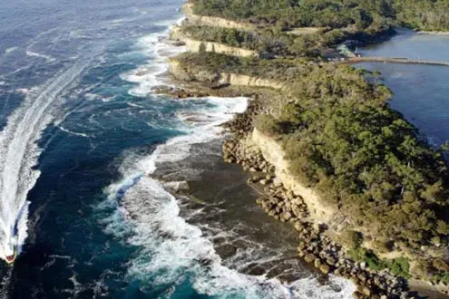 Tasman Island Nature Cruise