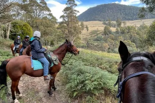 Bush Rangers Track Horse Ride - 2 Hours