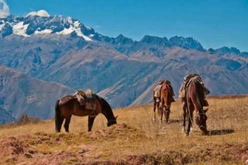 Horseback Riding Tour