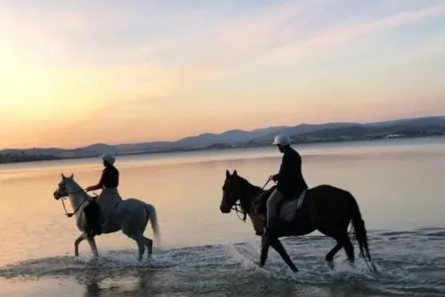 7 Mile Beach Horse Ride, 2 Hours