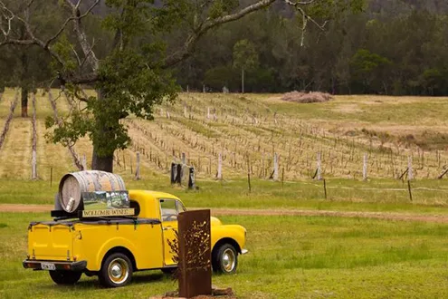 Gourmet food and wine day tour