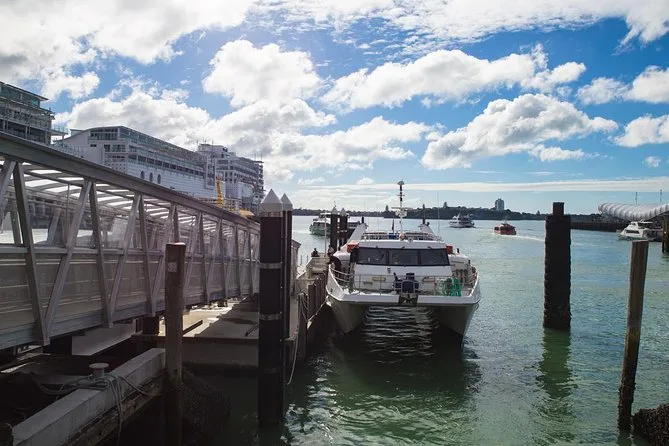 Rangitoto Island Tour from Auckland