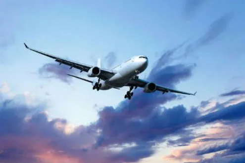 Shared Arrival Transfer in Tokyo Narita International Airport to Hotel