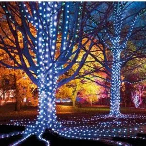 Lightscape Sydney Tickets