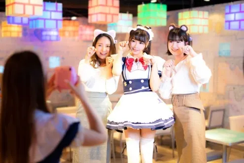 Maid Cafe Experience