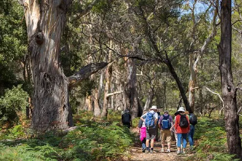 Full Day Maria Island National Park Tour