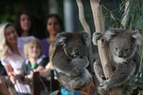 Melbourne Zoo