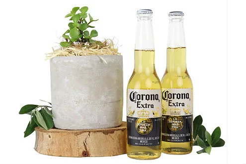 Money Tree & Beers
