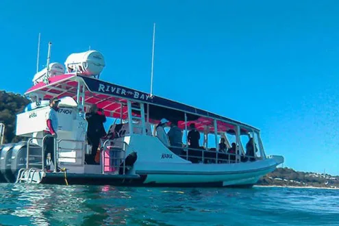 Moreton Bay Cruise, Dolphin Feeding and Quad Bike Tour
