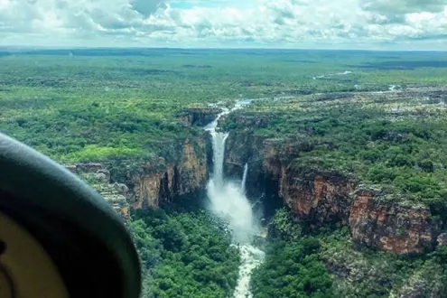 Full Day Pilanesberg National Park Safari