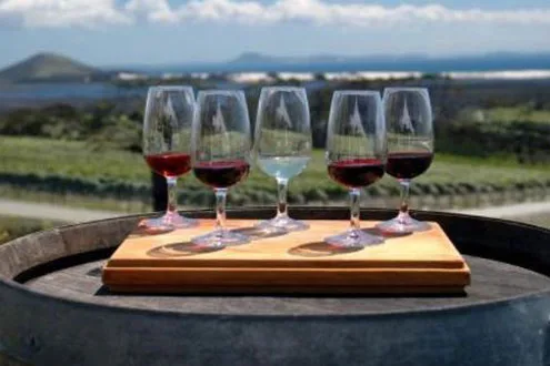 Best for value: Niagara-on-the-Lake wine tour with cheese pairing