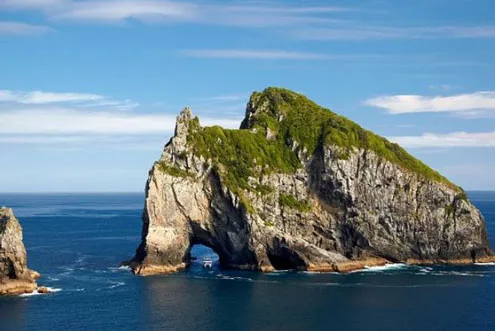 Hole in the Rock Cruise and Waitangi Day Tour