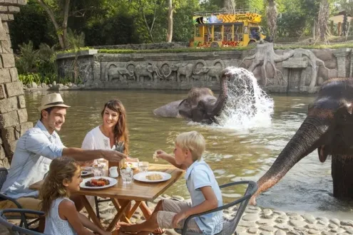 Breakfast with Orangutans at Bali Zoo