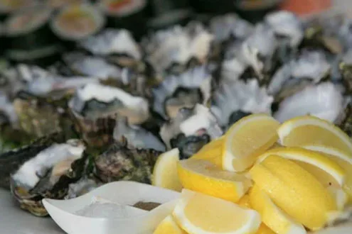Seafood Brunch Cruise with Champagne