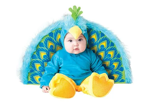 Fun World InCharacter Costumes Baby's Precious Peacock Costume