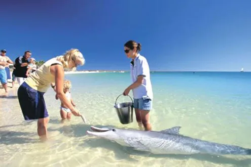 Discovery Tour to Monkey Mia and Shell Beach