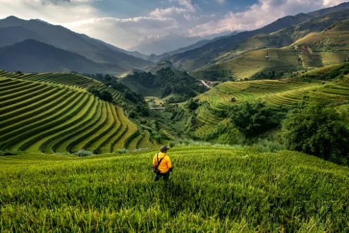 Compare flight prices to the Philippines