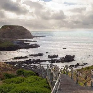 Full Day Phillip Island Wildlife and Brighton Beach Tour