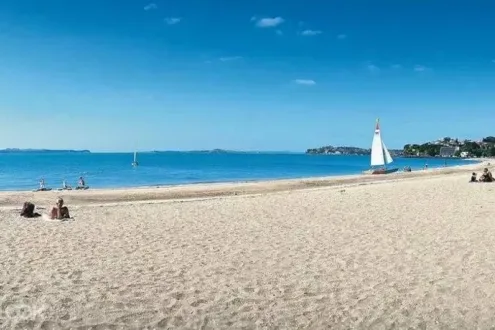 Auckland Private Day Tour