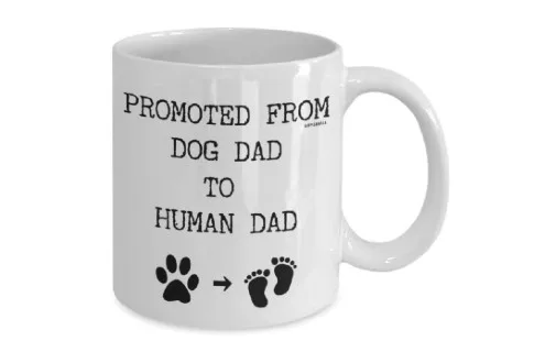 Promoted to Human Dad Mug