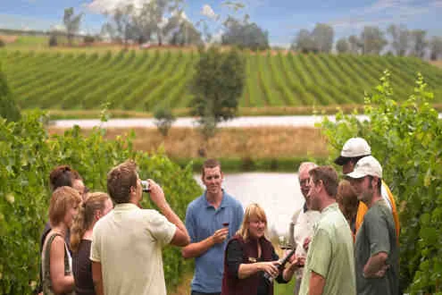 Wine tasting and lunch at Yarra Valley
