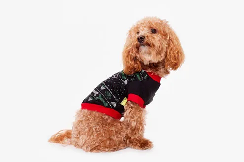 Santa Paws Knitted Dog Jumper