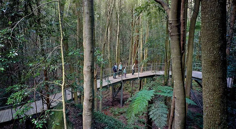 Scenic World Scenic Pass
