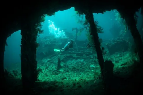 Best for value: USS Liberty Shipwreck Scuba Diving in Tulamben Bali, Tulamben