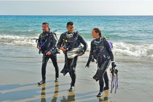 Best for price (cheapest): Sydney Guided Shore Dive, Sydney Dive Safari