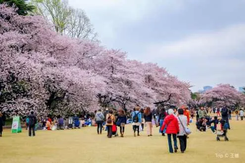 Shinjuku Gyoen National Garden
